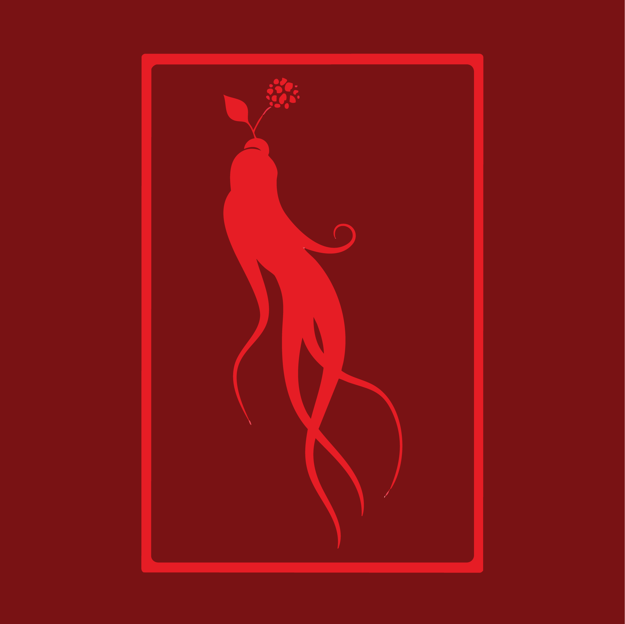 Red ginseng emblem from the Xian Rituals logo set against a red background—representing the brand’s foundation in Traditional Chinese Medicine